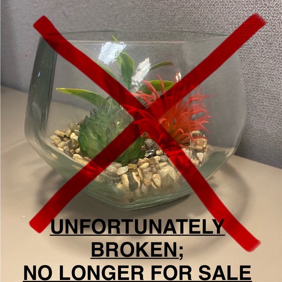 Faux Succulents Within Cute Plant Holders - Picture 4 of 6